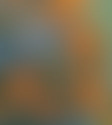 ‘El temps habitat’ de Maite Salord