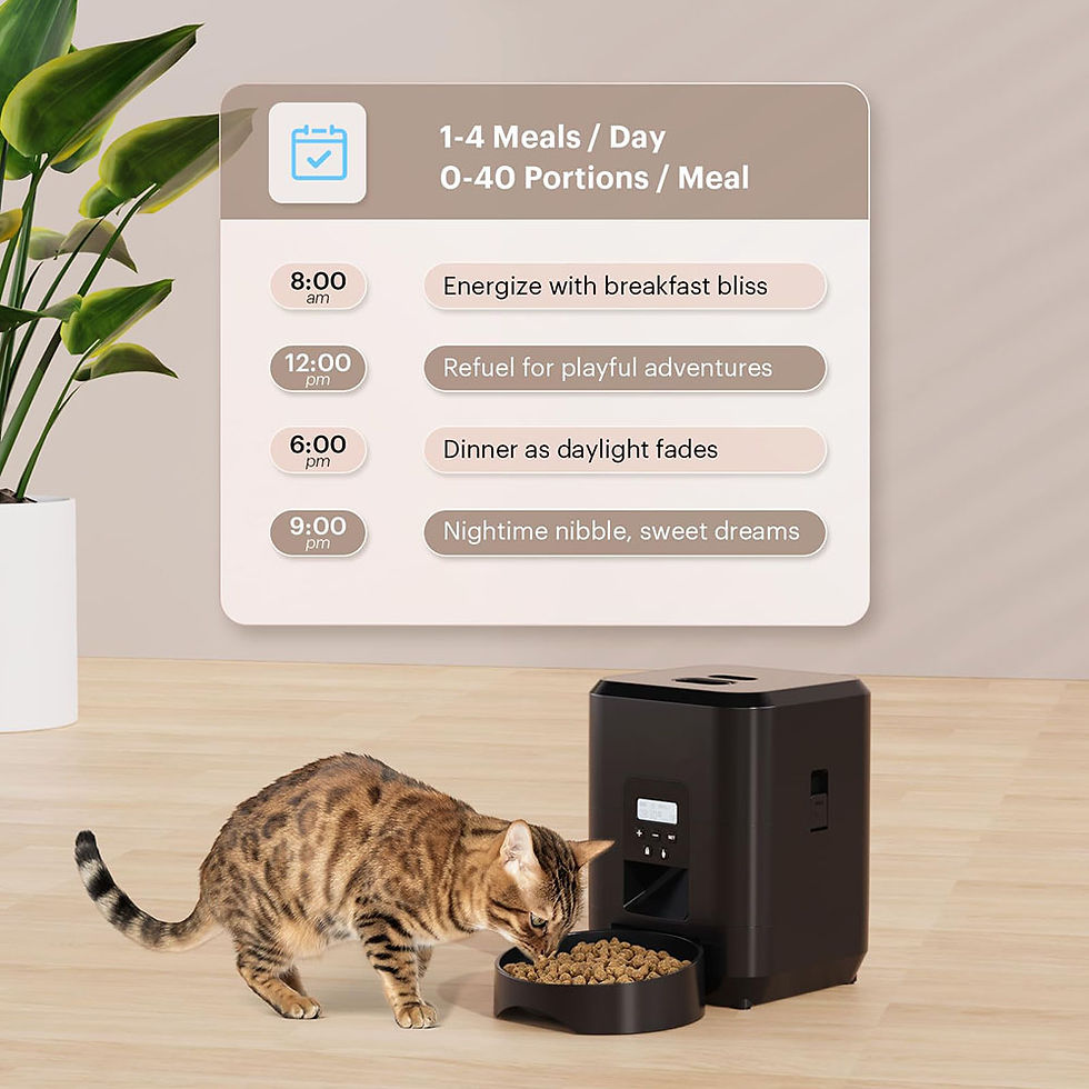 Thumbnail: Buy PetFlow Today & Get a FREE Gift + Discount