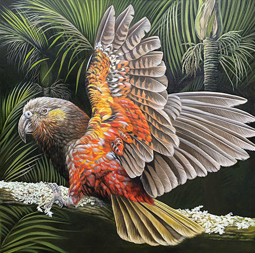 Detailed oil artwork of a NZ native parrot, the kaka, perched on a branch in the bush, one wing up to show orange underneath.