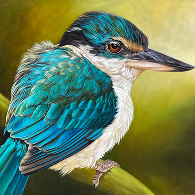 Painting of a little kōtare or NZ native kingfisher, highly realistic. Links to an exhibition of realistic bird paintings by oil painter Craig Platt; New Zealand artists paintings for sale.
