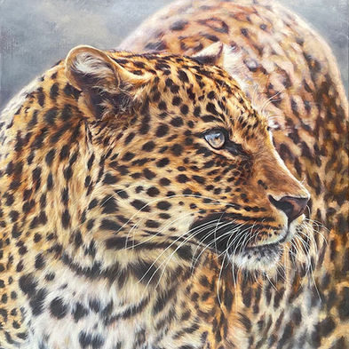 Captivating oil painting of a leopard with incredible detail; links to a 2025 exhibition of incredibly realistic wild and exotic animal paintings by Jules Kesby.