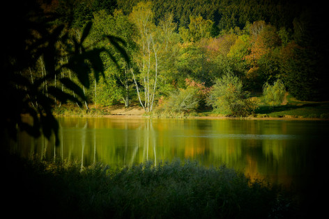 DSC_0057.jpeg