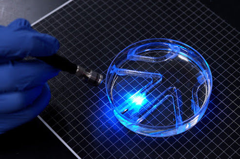 MIT’s Biohybrid Breakthrough: Living Muscle Cells Propel a Paper-Thin Robot Through a Maze