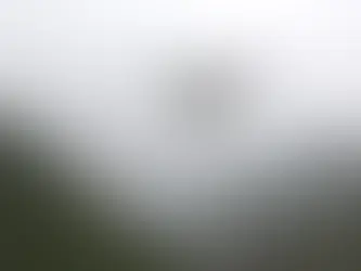 Fighting Fire with AI: The Role of Drone Swarms in Tackling Climate Challenges