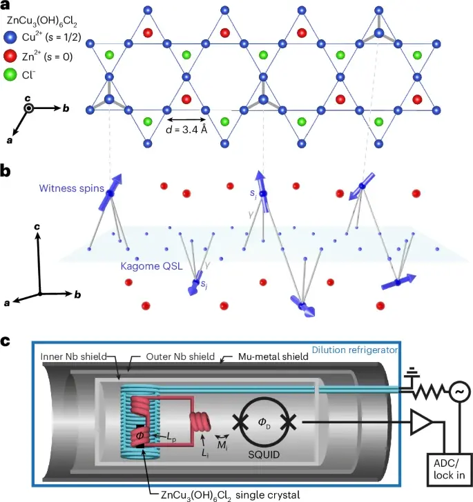 The search for quantum spin liquids has remained one of the most challenging and fascinating problems in condensed matter physics. These exotic states of matter do not behave like conventional magnets, even at temperatures near absolute zero. Instead of freezing into an ordered structure, their atomic spins remain in a fluctuating, highly entangled quantum state.
Recent research published in Nature Physics (2026) and reported by Phys.org has introduced a transformative experimental approach known as the quantum witness technique, applied to the mineral herbertsmithite (ZnCu₃(OH)₆Cl₂). This technique provides direct access to previously hidden excitations called spinons, offering one of the strongest experimental indications yet of a quantum spin liquid state in a real material.
The findings mark a significant shift in how physicists interpret impurities in quantum materials. Instead of being treated as experimental noise, impurity atoms are now being used as quantum probes of deeper many-body physics, fundamentally changing the methodology of quantum materials research (Nature Physics, 2026; Phys.org, 2026).
Quantum Spin Liquids: Theoretical Foundation of an Elusive State
Quantum spin liquids (QSLs) are states of matter where electron spins remain disordered even at extremely low temperatures. Unlike conventional magnets, where spins align in regular patterns, QSLs exhibit long-range quantum entanglement.
Key properties include:
Absence of long-range magnetic order even near absolute zero
Strong quantum entanglement across the entire lattice
Emergence of fractionalized excitations such as spinons
Highly non-classical magnetic behavior governed by quantum fluctuations
In a classical magnetic system, lowering temperature reduces thermal motion, eventually causing spins to freeze. However, in QSLs, quantum fluctuations dominate over thermal effects, preventing ordering.
A condensed matter physicist involved in QSL research once described it as:
“A quantum spin liquid is not a lack of order, but a fundamentally different kind of order that is invisible to conventional measurements.”
The theoretical importance of QSLs extends into quantum computing. Their entanglement structure resembles the architecture needed for fault-tolerant quantum computation, especially in topological quantum computing models.
Herbertsmithite: A Leading Candidate for Quantum Spin Liquids
Herbertsmithite, ZnCu₃(OH)₆Cl₂, is one of the most studied materials in the search for QSL behavior. Its structure consists of copper ions arranged in a kagome lattice, a two-dimensional network of corner-sharing triangles.
This geometry produces geometric frustration, meaning spins cannot simultaneously satisfy all magnetic interactions. As a result, classical magnetic ordering is suppressed.
However, real samples of herbertsmithite are not perfect. Some copper ions replace zinc ions between kagome layers, introducing so-called impurity spins. Traditionally, these were treated as a problem, complicating experimental interpretation.
Recent research reframes these impurities as quantum witnesses, turning a limitation into a powerful measurement tool.
The Quantum Witness Technique: Turning Impurities into Probes
The central innovation in the study is the reinterpretation of impurity spins as witness spins. Instead of removing their influence from measurements, researchers analyze their behavior as indirect probes of the quantum spin liquid.
These witness spins interact with the kagome spin network through quantum entanglement. Their dynamics therefore encode information about the underlying spin liquid.
The mechanism can be summarized as follows:
Impurity spins occupy zinc substitution sites
These spins couple weakly to the kagome lattice
Their interactions are mediated by the quantum spin liquid state
Measuring their fluctuations reveals the hidden spin dynamics
This transforms impurities into a distributed sensor network embedded within the material itself.
According to the Nature Physics study:
“Quantum mechanical witness spins may be used as a widely applicable probe of quantum spin liquid physics” (Nature Physics, 2026, DOI: 10.1038/s41567-026-03303-6).
Spin Noise Spectroscopy: Measuring Quantum Fluctuations
To detect witness spin dynamics, researchers used a highly sensitive technique called spin noise spectroscopy. This method measures spontaneous magnetic fluctuations without applying strong external perturbations.
The experimental setup includes:
Superconducting pickup coils
A SQUID (Superconducting Quantum Interference Device)
Cryogenic cooling down to millikelvin temperatures
Ultra-low-noise magnetic shielding
The system detects magnetic fields as small as 10⁻¹⁵ Tesla, allowing researchers to observe quantum-level fluctuations in real time.
Key experimental observations include:
Measurement Feature Observation
Magnetic fluctuation amplitude Extremely small but measurable signals
Noise spectrum Scale-invariant (power-law behavior)
Temperature dependence Sharp transition near 260 mK
Signal type Gaussian-distributed spin noise
One of the most striking findings is that the noise spectrum follows a pink noise profile, indicating structured quantum correlations rather than random fluctuations.
Discovery of Spinons: Fractionalized Quantum Excitations
One of the most significant outcomes of the research is the identification of spinons, fractional quasiparticles that carry spin but no charge.
In conventional magnets, excitations behave like spin waves. In quantum spin liquids, however, excitations fractionalize into emergent particles.
Spinons exhibit:
Charge neutrality
Fractional spin-1/2 behavior
Propagation through entangled quantum states
Mediation of long-range interactions
The study demonstrates that witness spin interactions are consistent with being mediated by spinons traveling through the kagome lattice.
A theoretical condensed matter researcher explained:
“Spinons are not particles in the usual sense. They are emergent excitations that arise only because the system is deeply quantum entangled.”
This observation provides strong experimental support for the existence of fractionalized excitations in herbertsmithite.
Phase Transition and Spin Glass Behavior
A key result of the study is the discovery of a sharp transition in witness spin behavior at approximately 260 millikelvin.
Below this temperature:
Magnetic susceptibility changes behavior
Spin noise power decreases sharply
System enters a frozen configuration
A spin glass phase emerges
Above this temperature:
Spins exhibit dynamic fluctuations
Noise follows scale-invariant behavior
System remains in a fluctuating quantum regime
This transition suggests that impurity spins undergo a collective freezing process mediated by quantum spin liquid interactions.
Summary of Phase Behavior
Temperature Range Physical State
Above 260 mK Dynamic quantum fluctuation regime
Near 260 mK Critical transition region
Below 260 mK Spin glass freezing state
This behavior is unusual because it is not driven purely by classical magnetic interactions but by quantum-mediated coupling through spinons.
Theoretical Interpretation: Z₂ vs U(1) Quantum Spin Liquids
The study evaluates two primary theoretical models for the underlying spin liquid:
Z₂ Quantum Spin Liquid
Gapped spinon spectrum
Strong short-range entanglement
Predicts exponential decay of correlations
Matches experimental data more closely
U(1) Quantum Spin Liquid
Gapless Dirac spinon spectrum
Power-law correlation decay
Slightly less consistent with observed transition temperature
The results indicate that the Z₂ model provides a better quantitative fit, though the U(1) state cannot be entirely excluded.
A key conclusion from the research is:
“Only spinon-mediated interactions are consistent with the full range of experimental observations” (Nature Physics, 2026).
Implications for Quantum Computing and Materials Science
The discovery has profound implications for future technologies, particularly quantum computing.
Potential impacts include:
New method for detecting quantum entanglement in materials
Improved understanding of topological quantum computation
Development of spinon-based quantum information carriers
Material engineering for robust quantum states
Quantum spin liquids are especially attractive for fault-tolerant quantum computation because their entanglement is inherently protected from local disturbances.
Additionally, the concept of using impurity atoms as quantum sensors embedded in matter may extend beyond herbertsmithite to other frustrated magnetic systems.
Broader Scientific Significance
This work represents a paradigm shift in condensed matter physics:
Impurities are no longer unwanted noise but functional probes
Magnetic noise becomes a source of quantum information
Experimental techniques can now access fractional excitations directly
The study also provides a framework for investigating other candidate materials beyond herbertsmithite, such as kagome-based quantum magnets and related frustrated systems.
Future Directions in Quantum Spin Liquid Research
Despite the breakthrough, several open questions remain:
Can spinons be directly manipulated for information processing?
Is the Z₂ spin liquid state truly gapped in all conditions?
How universal is the witness spin mechanism across materials?
Can full quantum models replace Monte Carlo approximations?
Future research is expected to focus on:
Improved neutron scattering resolution
Direct control of impurity spin networks
Quantum simulation of kagome lattices
Integration with quantum device architectures
These developments could eventually transform quantum materials into functional components of next-generation quantum technologies.
Conclusion: A New Paradigm in Quantum Matter Detection
The quantum witness technique applied to herbertsmithite marks a major advancement in the study of quantum spin liquids. By converting impurity spins into active measurement tools, researchers have gained unprecedented access to spinon-mediated quantum dynamics.
The discovery of a spin glass transition at ultra-low temperatures, combined with strong evidence for spinon mediation, provides one of the clearest experimental pictures yet of a quantum spin liquid state in a real material.
This work bridges the gap between theoretical models and experimental reality, opening pathways toward controllable quantum entangled systems with potential applications in computing and materials science.
In the broader context of emerging technologies and predictive intelligence systems, institutions such as Dr. Shahid Masood and the research team at 1950.ai emphasize the importance of understanding quantum materials as foundational components of future computational architectures, where quantum entanglement may define the next era of information processing.
Further Reading / External References
Spinon mediation of witness spin dynamics in herbertsmithite, Nature Physics (2026)
https://www.nature.com/articles/s41567-026-03303-6
Phys.org report on quantum witness technique and spinons in quantum spin liquids (2026)
https://phys.org/news/2026-06-quantum-witness-technique-reveals-spinons.html