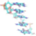 The Future of Computing: How DNA is Shaping the Next Quantum Revolution
Introduction
The field of quantum computing has seen remarkable advancements over the past decade, pushing the limits of processing power and computational efficiency. However, conventional quantum computers face significant challenges—most notably, the need for near-zero temperatures and delicate superconducting materials to maintain quantum coherence.
Enter DNA-based quantum computing—an emerging paradigm that leverages the molecular properties of DNA for quantum information processing. Unlike traditional systems, DNA qubits can operate at room temperature, reducing energy requirements and opening the door to scalable quantum computing solutions.
Groundbreaking research from Boise State University, Peking University, and the National Institutes of Health (NIH) is demonstrating the potential of DNA molecules, nuclear electric resonance, and AI-driven molecular design to revolutionize computing, medical diagnostics, and even renewable energy. This article explores the latest developments, challenges, and implications of DNA as a computational medium in the next quantum revolution.
The Intersection of DNA and Quantum Computing
Why DNA?
DNA (deoxyribonucleic acid) is a self-assembling, nanoscale biopolymer with remarkable properties that make it an ideal candidate for quantum computing. These include:
Intrinsic Structural Stability – DNA maintains its structure even in harsh conditions.
Molecular Precision – The base-pairing mechanism (A-T, G-C) provides an inherent logic system.
Scalability and Miniaturization – DNA self-assembles naturally at the nanometer scale.
Energy Efficiency – Unlike silicon-based transistors, DNA computations consume minimal energy.
DNA’s Role in Quantum Information Processing
A core challenge in quantum computing is maintaining qubit coherence—the ability to preserve quantum states for extended periods. Recent studies show that nuclear spins in nitrogen atoms within DNA bases can be manipulated via electric field gradients to store and process quantum information.
"Our research has unveiled the patterns of the principal axis directions of the electric field gradient at the nitrogen atom sites in DNA molecules, demonstrating that these directions are closely associated with the types of bases and the 3D structure of DNA," explains Dr. Yu Zheng of Peking University.
This means that DNA's genetic sequence and three-dimensional structure can encode quantum information, making it a promising medium for biological quantum computers.
AI-Driven Molecular Design: The Role of MatFlow
What is MatFlow?
MatFlow, a machine-learning framework developed at Boise State University, is transforming the search for quantum-ready molecular structures. Using AI-driven algorithms, MatFlow:
Simulates molecular interactions at the quantum level.
Identifies optimal molecules for room-temperature quantum computing.
Reduces time and costs associated with quantum material discovery.
Funding and Impact
Organization Funding Received Focus Area
Boise State University $600,000 (NSF) AI-driven molecular design
Peking University N/A Nuclear electric resonance in DNA
NIH $125,000 DNA-based biosensors
DOE $800,000 Quantum photosynthesis studies
The ability to design molecules tailored for quantum behavior could lead to custom-built DNA processors, enabling breakthroughs in cryptography, AI, and simulations of biological and chemical processes.
DNA as a Quantum Storage and Processing Medium
Data Storage Potential
With the exponential growth of digital data, conventional silicon-based storage systems are nearing their limits. DNA, however, offers a unique advantage:
Unmatched Data Density – 1 gram of DNA can store 215 petabytes (215 million gigabytes).
Longevity – DNA remains stable for thousands of years under optimal conditions.
Energy Efficiency – DNA storage requires minimal power compared to traditional data centers.
Comparison: DNA Storage vs. Traditional Storage
Storage Medium Data Capacity per Gram Lifespan Energy Consumption
Hard Drive (HDD) ~0.1 GB ~5-10 years High
Solid-State Drive (SSD) ~0.2 GB ~10-15 years Moderate
Optical Disk ~0.5 GB ~100 years Low
DNA Storage 215 PB (Petabytes) 1000+ years Extremely Low
DNA's data storage potential makes it an attractive candidate for applications requiring long-term archival and ultra-high-density storage, such as government records, medical databases, and scientific archives.
Quantum Computing with DNA-Based Qubits
Unlike traditional qubits that rely on superconducting circuits or trapped ions, DNA-based qubits use nuclear spin states within DNA bases to encode quantum information. This is achieved through:
Nuclear Electric Resonance (NER) – Manipulating nuclear spins via electric field gradients.
Proton-Nitrogen Interactions – Enhancing quantum coherence and data stability.
Molecular Self-Assembly – Allowing the creation of large-scale quantum architectures.
DNA-Driven Quantum Computing in Medicine
Early Cancer Detection with Quantum Biosensors
Quantum biosensors built using DNA-based qubits are emerging as a powerful tool for cancer detection. Researchers funded by the NIH ($125,000 grant) are developing:
Fluorescent DNA-based probes that bind to cancer biomarkers.
Quantum-enhanced signal processing for ultra-sensitive detection.
Non-invasive diagnostic techniques that surpass traditional methods.
"By leveraging the quantum properties of DNA, we can achieve unprecedented sensitivity in cancer diagnostics, allowing for early intervention and improved patient outcomes," says Dr. Daniel Turner, a principal investigator in quantum medicine.
Photosynthesis and Renewable Energy
DNA’s quantum properties could also revolutionize solar energy. A recent $800,000 Department of Energy (DOE) grant supports research into:
Quantum coherence in photosynthesis to improve energy transfer.
Bio-inspired solar cells that mimic plant energy efficiency.
Sustainable energy storage systems using DNA-based quantum materials.
These advancements could lead to next-generation photovoltaic cells with significantly higher energy conversion efficiency.
Challenges and Future Outlook
Key Challenges
Despite its promise, DNA-based quantum computing faces several technical and scientific hurdles:
Quantum Coherence Limitations – External noise can disrupt qubit stability.
Scalability Issues – Designing large-scale DNA quantum networks remains complex.
Algorithmic Development – New DNA-specific quantum algorithms must be created.
Market Growth and Adoption
The global quantum computing market is expected to grow exponentially by 2030:
Market Sector Projected Growth ($ Billion)
Quantum Computing $90B
AI-Driven Molecular Design $45B
DNA Data Storage $20B
Quantum Cryptography $35B
By 2040, DNA-powered quantum computers could become a commercial reality, transforming sectors from finance and defense to personalized medicine and climate modeling.
Conclusion: The Dawn of a New Technological Era
The convergence of biology, quantum physics, and artificial intelligence is paving the way for a new era of computing. DNA, once solely considered the blueprint of life, is now being reimagined as a medium for quantum information processing.
From nuclear electric resonance and AI-driven molecular design to early disease detection and renewable energy breakthroughs, the potential applications of DNA-based quantum computing are boundless.
To stay updated on the latest in AI, quantum computing, and DNA-based technologies, follow Dr. Shahid Masood and the expert team at 1950.ai—leaders in predictive AI, quantum computing, and emerging technologies shaping our future.