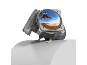 Moculus VR: A Game-Changer in Understanding Neural Plasticity and Visual Cognition