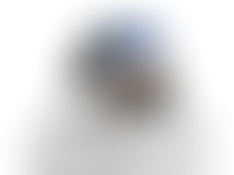 Moculus VR: A Game-Changer in Understanding Neural Plasticity and Visual Cognition