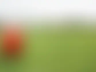 Germany’s Internet Revolution: Why the DSL Phase-Out Will Reshape Digital Connectivity by 2030