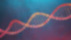 The Future of Computing: How DNA is Shaping the Next Quantum Revolution
Introduction
The field of quantum computing has seen remarkable advancements over the past decade, pushing the limits of processing power and computational efficiency. However, conventional quantum computers face significant challenges—most notably, the need for near-zero temperatures and delicate superconducting materials to maintain quantum coherence.
Enter DNA-based quantum computing—an emerging paradigm that leverages the molecular properties of DNA for quantum information processing. Unlike traditional systems, DNA qubits can operate at room temperature, reducing energy requirements and opening the door to scalable quantum computing solutions.
Groundbreaking research from Boise State University, Peking University, and the National Institutes of Health (NIH) is demonstrating the potential of DNA molecules, nuclear electric resonance, and AI-driven molecular design to revolutionize computing, medical diagnostics, and even renewable energy. This article explores the latest developments, challenges, and implications of DNA as a computational medium in the next quantum revolution.
The Intersection of DNA and Quantum Computing
Why DNA?
DNA (deoxyribonucleic acid) is a self-assembling, nanoscale biopolymer with remarkable properties that make it an ideal candidate for quantum computing. These include:
Intrinsic Structural Stability – DNA maintains its structure even in harsh conditions.
Molecular Precision – The base-pairing mechanism (A-T, G-C) provides an inherent logic system.
Scalability and Miniaturization – DNA self-assembles naturally at the nanometer scale.
Energy Efficiency – Unlike silicon-based transistors, DNA computations consume minimal energy.
DNA’s Role in Quantum Information Processing
A core challenge in quantum computing is maintaining qubit coherence—the ability to preserve quantum states for extended periods. Recent studies show that nuclear spins in nitrogen atoms within DNA bases can be manipulated via electric field gradients to store and process quantum information.
"Our research has unveiled the patterns of the principal axis directions of the electric field gradient at the nitrogen atom sites in DNA molecules, demonstrating that these directions are closely associated with the types of bases and the 3D structure of DNA," explains Dr. Yu Zheng of Peking University.
This means that DNA's genetic sequence and three-dimensional structure can encode quantum information, making it a promising medium for biological quantum computers.
AI-Driven Molecular Design: The Role of MatFlow
What is MatFlow?
MatFlow, a machine-learning framework developed at Boise State University, is transforming the search for quantum-ready molecular structures. Using AI-driven algorithms, MatFlow:
Simulates molecular interactions at the quantum level.
Identifies optimal molecules for room-temperature quantum computing.
Reduces time and costs associated with quantum material discovery.
Funding and Impact
Organization Funding Received Focus Area
Boise State University $600,000 (NSF) AI-driven molecular design
Peking University N/A Nuclear electric resonance in DNA
NIH $125,000 DNA-based biosensors
DOE $800,000 Quantum photosynthesis studies
The ability to design molecules tailored for quantum behavior could lead to custom-built DNA processors, enabling breakthroughs in cryptography, AI, and simulations of biological and chemical processes.
DNA as a Quantum Storage and Processing Medium
Data Storage Potential
With the exponential growth of digital data, conventional silicon-based storage systems are nearing their limits. DNA, however, offers a unique advantage:
Unmatched Data Density – 1 gram of DNA can store 215 petabytes (215 million gigabytes).
Longevity – DNA remains stable for thousands of years under optimal conditions.
Energy Efficiency – DNA storage requires minimal power compared to traditional data centers.
Comparison: DNA Storage vs. Traditional Storage
Storage Medium Data Capacity per Gram Lifespan Energy Consumption
Hard Drive (HDD) ~0.1 GB ~5-10 years High
Solid-State Drive (SSD) ~0.2 GB ~10-15 years Moderate
Optical Disk ~0.5 GB ~100 years Low
DNA Storage 215 PB (Petabytes) 1000+ years Extremely Low
DNA's data storage potential makes it an attractive candidate for applications requiring long-term archival and ultra-high-density storage, such as government records, medical databases, and scientific archives.
Quantum Computing with DNA-Based Qubits
Unlike traditional qubits that rely on superconducting circuits or trapped ions, DNA-based qubits use nuclear spin states within DNA bases to encode quantum information. This is achieved through:
Nuclear Electric Resonance (NER) – Manipulating nuclear spins via electric field gradients.
Proton-Nitrogen Interactions – Enhancing quantum coherence and data stability.
Molecular Self-Assembly – Allowing the creation of large-scale quantum architectures.
DNA-Driven Quantum Computing in Medicine
Early Cancer Detection with Quantum Biosensors
Quantum biosensors built using DNA-based qubits are emerging as a powerful tool for cancer detection. Researchers funded by the NIH ($125,000 grant) are developing:
Fluorescent DNA-based probes that bind to cancer biomarkers.
Quantum-enhanced signal processing for ultra-sensitive detection.
Non-invasive diagnostic techniques that surpass traditional methods.
"By leveraging the quantum properties of DNA, we can achieve unprecedented sensitivity in cancer diagnostics, allowing for early intervention and improved patient outcomes," says Dr. Daniel Turner, a principal investigator in quantum medicine.
Photosynthesis and Renewable Energy
DNA’s quantum properties could also revolutionize solar energy. A recent $800,000 Department of Energy (DOE) grant supports research into:
Quantum coherence in photosynthesis to improve energy transfer.
Bio-inspired solar cells that mimic plant energy efficiency.
Sustainable energy storage systems using DNA-based quantum materials.
These advancements could lead to next-generation photovoltaic cells with significantly higher energy conversion efficiency.
Challenges and Future Outlook
Key Challenges
Despite its promise, DNA-based quantum computing faces several technical and scientific hurdles:
Quantum Coherence Limitations – External noise can disrupt qubit stability.
Scalability Issues – Designing large-scale DNA quantum networks remains complex.
Algorithmic Development – New DNA-specific quantum algorithms must be created.
Market Growth and Adoption
The global quantum computing market is expected to grow exponentially by 2030:
Market Sector Projected Growth ($ Billion)
Quantum Computing $90B
AI-Driven Molecular Design $45B
DNA Data Storage $20B
Quantum Cryptography $35B
By 2040, DNA-powered quantum computers could become a commercial reality, transforming sectors from finance and defense to personalized medicine and climate modeling.
Conclusion: The Dawn of a New Technological Era
The convergence of biology, quantum physics, and artificial intelligence is paving the way for a new era of computing. DNA, once solely considered the blueprint of life, is now being reimagined as a medium for quantum information processing.
From nuclear electric resonance and AI-driven molecular design to early disease detection and renewable energy breakthroughs, the potential applications of DNA-based quantum computing are boundless.
To stay updated on the latest in AI, quantum computing, and DNA-based technologies, follow Dr. Shahid Masood and the expert team at 1950.ai—leaders in predictive AI, quantum computing, and emerging technologies shaping our future.
