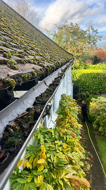 WhatsApp Image 2026-01-15 at 17.35.38.jpeg