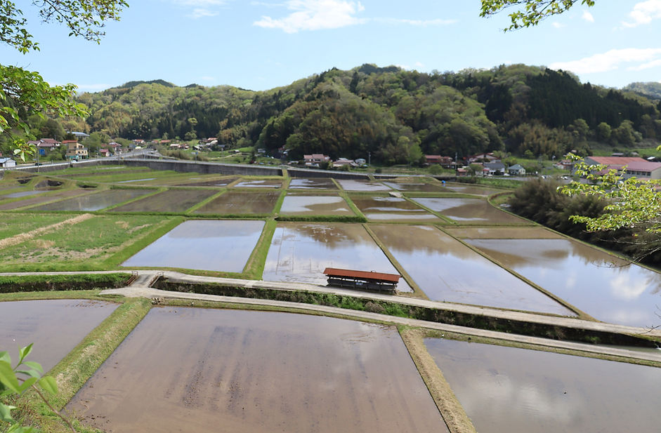 広島俳句倶楽部とは画像.JPG