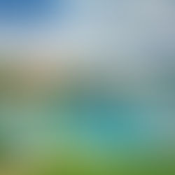 wenn dann wieder sommer ist …