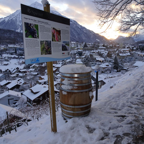 spiez mal anders entdecken