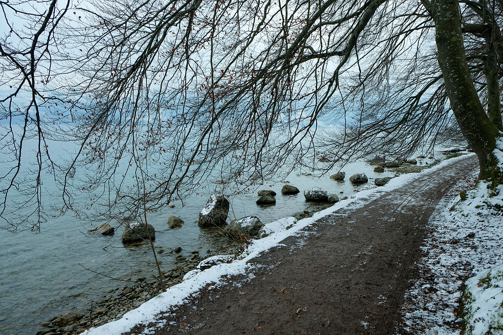 © Spiez Marketing AG