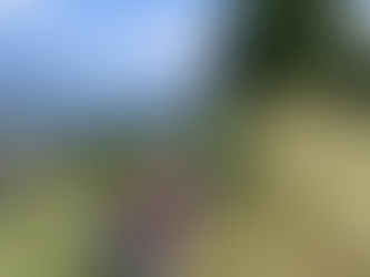 das berner oberland erleben – nicht nur besuchen
