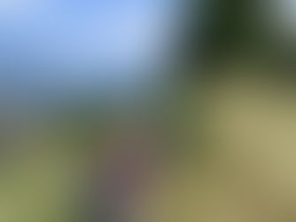das berner oberland erleben – nicht nur besuchen