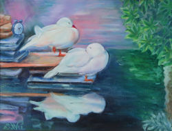 Quiet Time-Ducks in Las Vagas