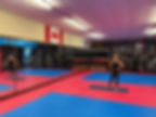 Dojo.jpg