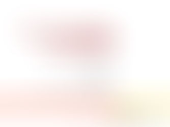 Défense de thèse de Queralt Plana