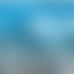 Présentation des programmes MITACS au CERMA