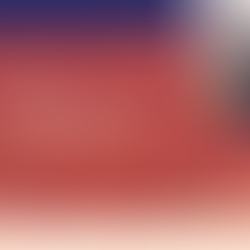 Présentation d’un programme de mentorat et d’insertion professionnelle