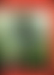 Call of Duty 4: Modern Warfare - XBOX 360 RGH