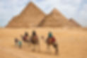 Camel-Ride.jpg.optimal.jpg