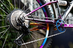 Starling cycles Collaboration 