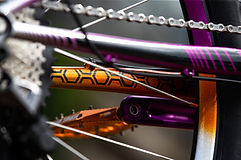 Starling cycles Collaboration 