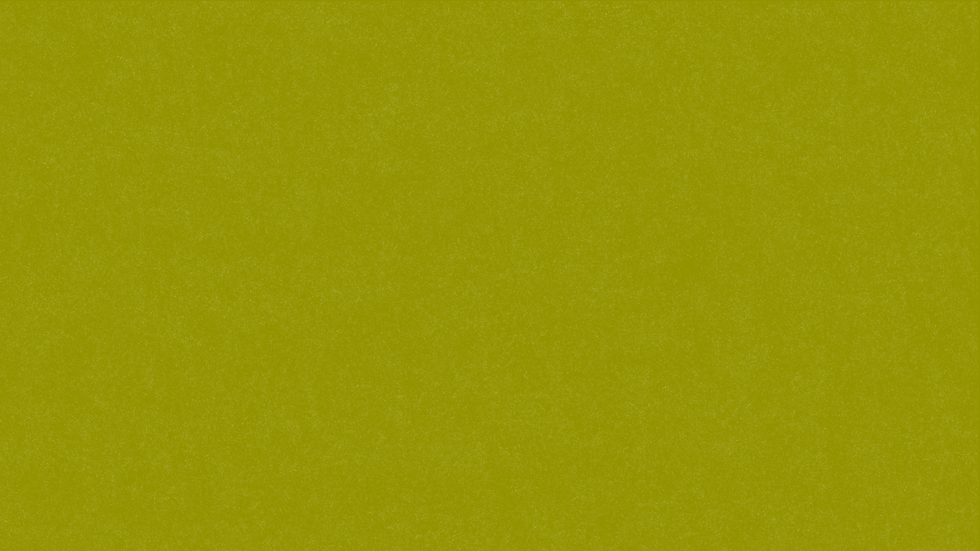 GH website slides  (35).png