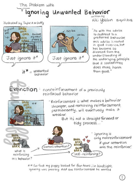 The Problem with Ignoring Unwanted Behavior (Kiki Yablon)