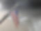 315106891_498188509019115_2296995925791432002_n.jpg