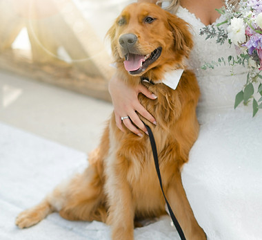 a bride and her dog pose for a picture_edited.jpg