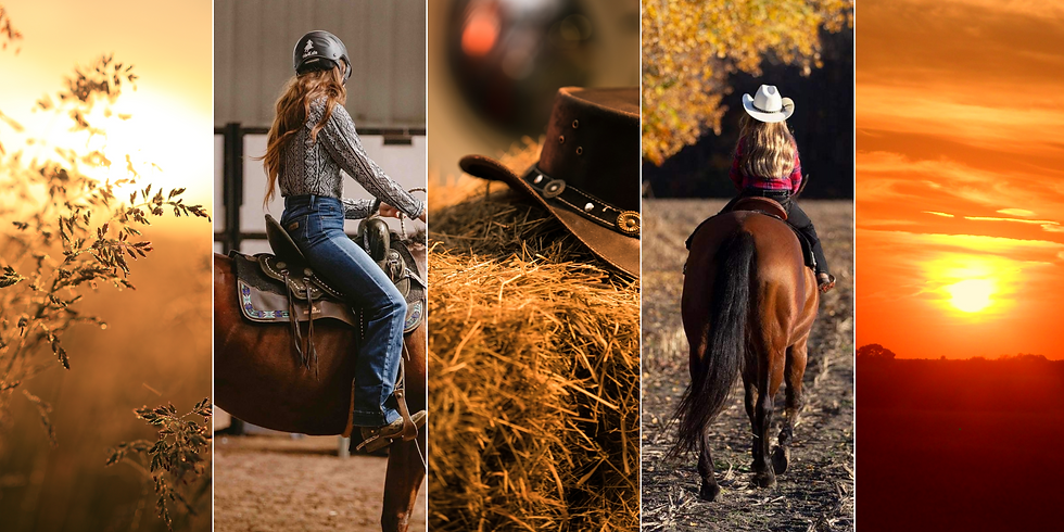 Barrel racing horse training with Kayla Ward at Southward Stables
