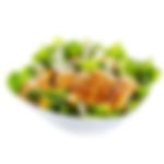 Fitness Salat