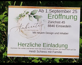 Ambiente flyer.jpg