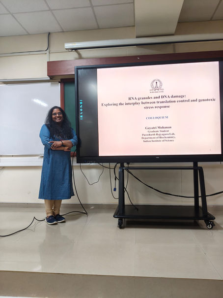 RNA Granules at the Crossroads of Translation & Genotoxic Stress : Gayatri’s Colloquium