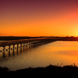 Quinta-do-Lago-Birds.jpg