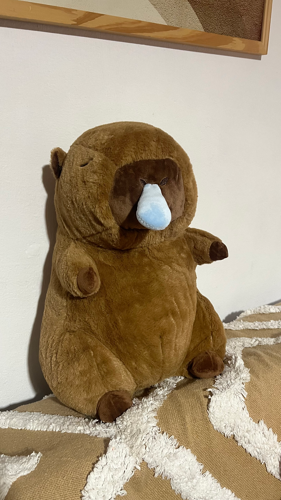 Miniatura: Peluche capibara 40cm + manta OFERTON