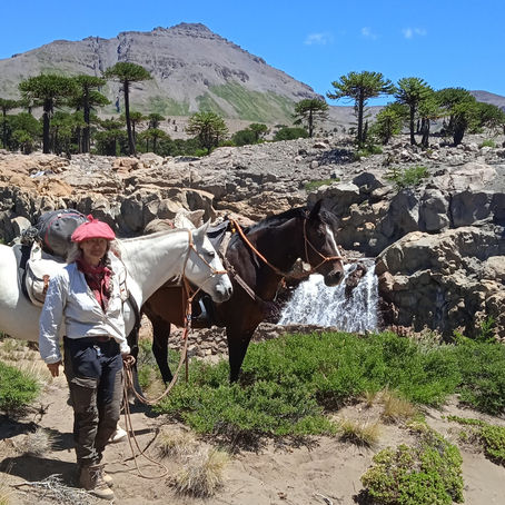 Mein Jahresrückblick 2022: Hingabe macht frei