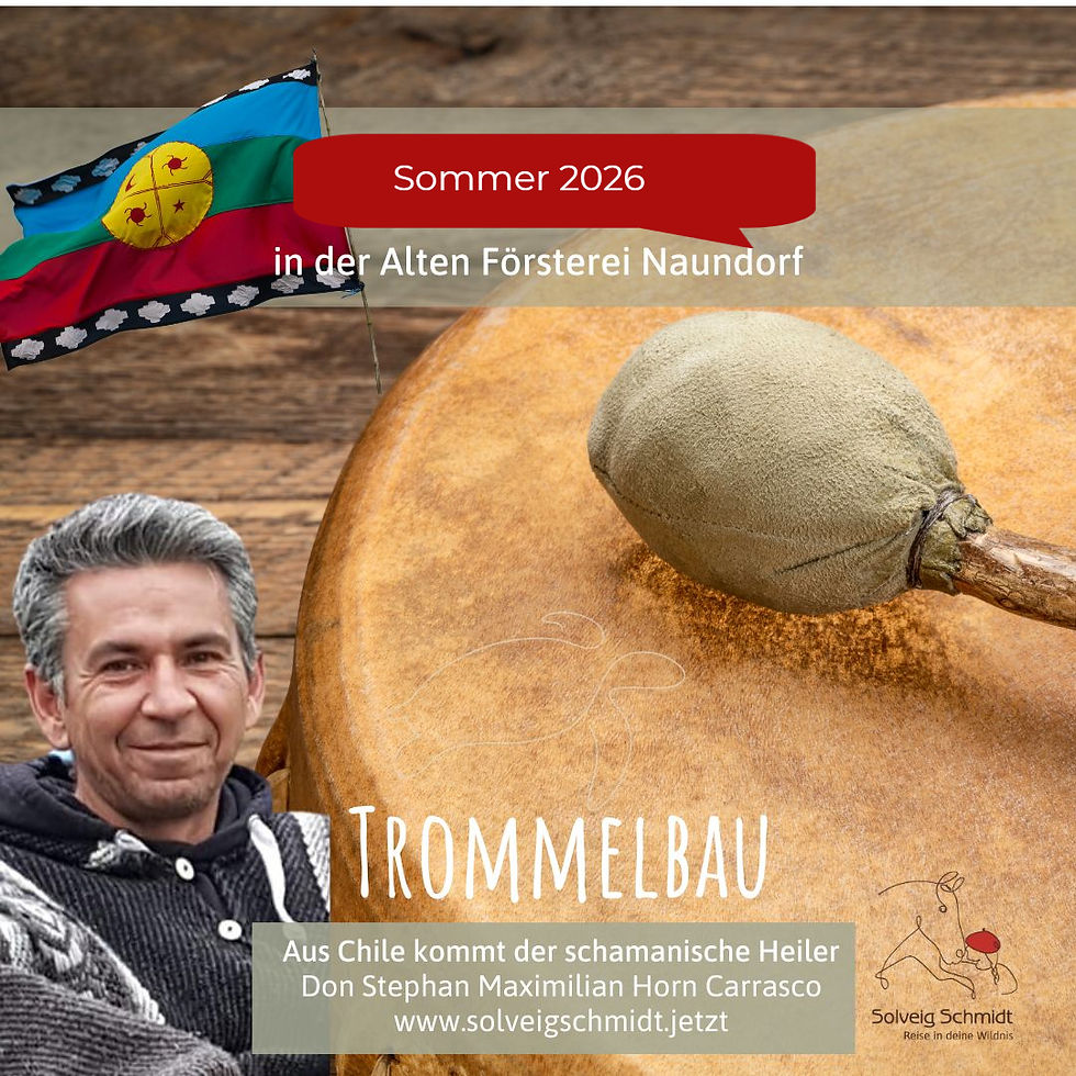 Trommelbau mit chilenischem Heiler Don Carrasco  (1)