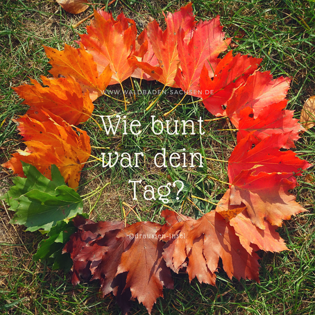 Eine Kur für deine Augen 