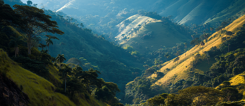 Screenshot 2026-03-05 at 21.26.24.png