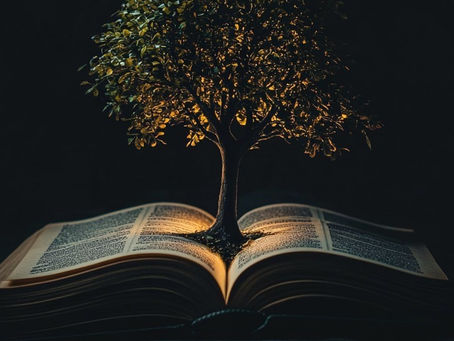 What Every Leader Needs to Know About Turning Escalations into Growth Opportunities 🚀 Part 1