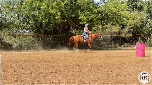 Screenshot 2024-09-17 at 7.09.18 PM.png