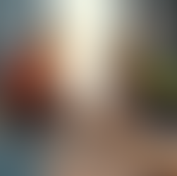 Benefits of Hiring Professional Construction Services