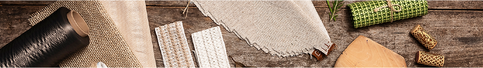 bertex capa.png
