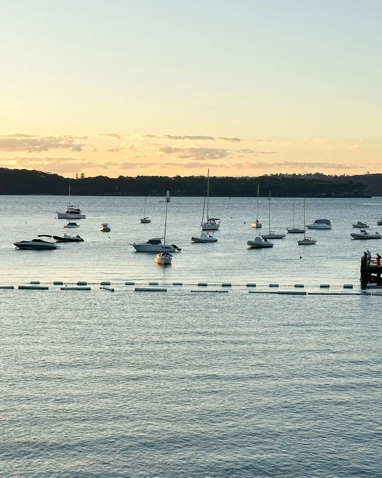 sydney harbour at sunset shot on iphone 14 pro max