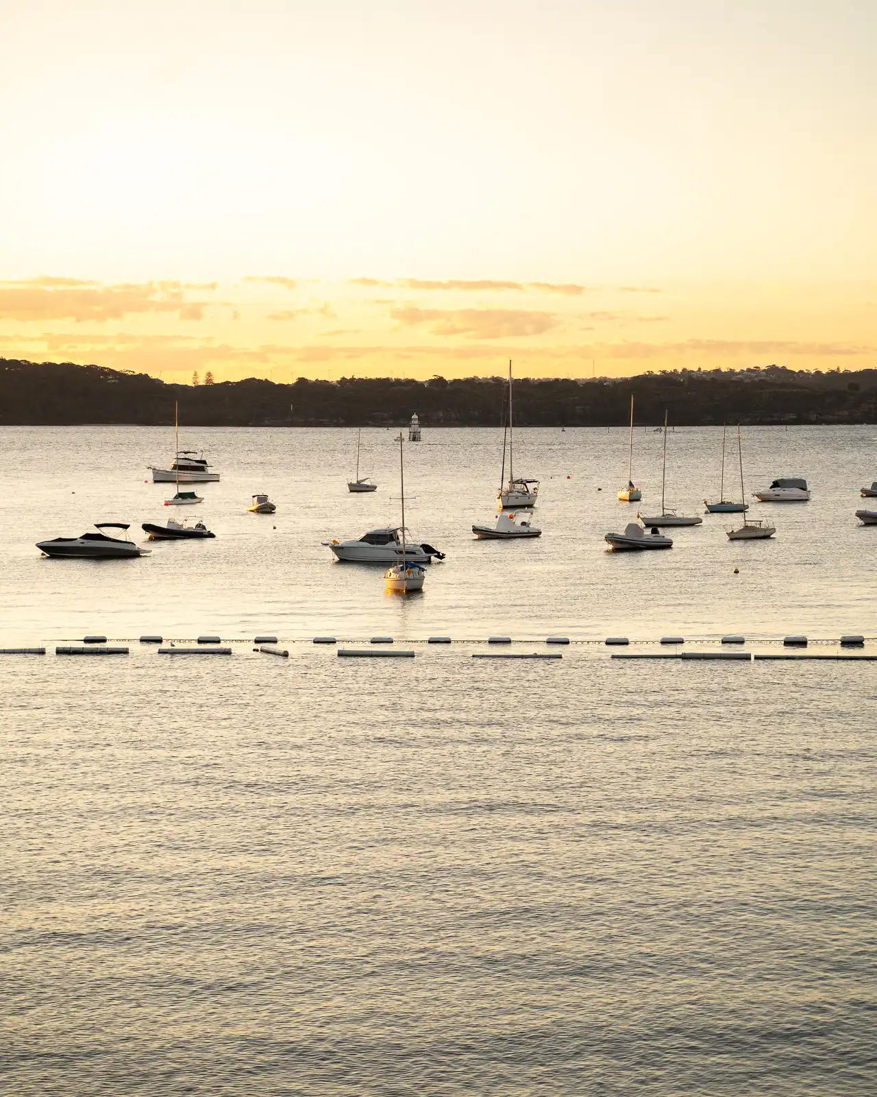 sydney harbour at sunset shot on sony a7iiii